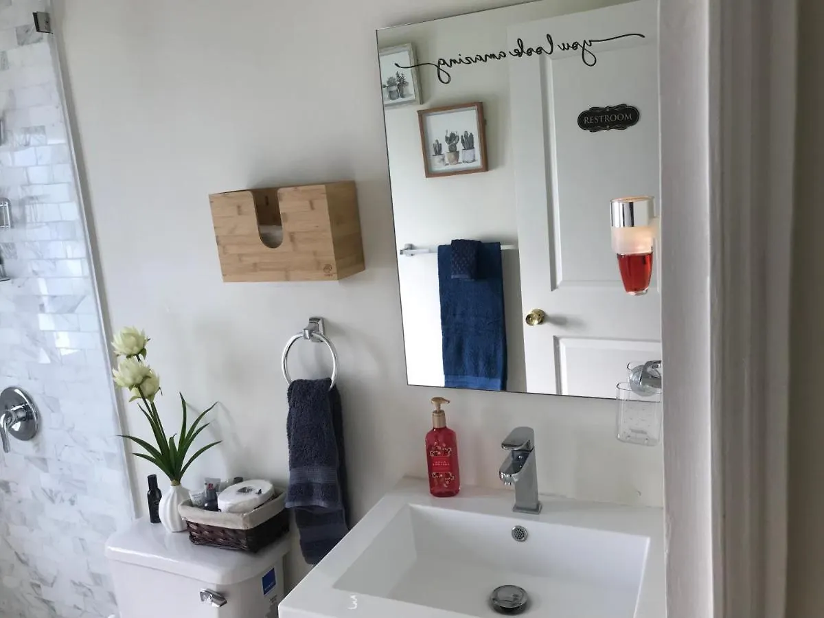 Newly Built , Sweet Oasis Villa Mammee Bay