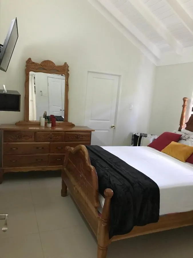Newly Built , Sweet Oasis Villa Mammee Bay